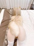軟萌兔兔醬 愛貓人士
