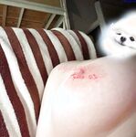 Gadis muda Twitter yang muda dan tidak terkalahkan [Yu Zai] menunjukkan wajahnya dalam sesi pemotretan peribadi, dengan payudara merah jambu yang besar dan roti kukus harimau putih yang jarang ditemui, yang sangat lembut, dan dia mempunyai titik seks yang