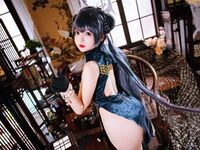 Hinajiao-NO.071 แฟ้มสีน้ำเงิน เฟซากิ 