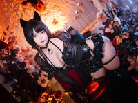 Rinajiao - NO.068 Leather Series Cat Field 