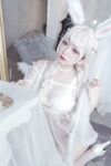 日奈嬌 - NO.005 貓與兔 