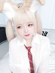 Hinajiao-NO.064 셔츠 강아지 