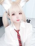 Hinajiao-NO.064 셔츠 강아지 