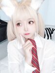 Hinajiao-NO.064 셔츠 강아지 