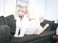 Hinajiao-NO.064 셔츠 강아지 
