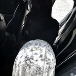 小鲅鱼视图合集