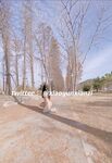 ล่าสุดที่รั่วไหลออกมาในเดือนพฤศจิกายน เด็กนักเรียนเรียวของ Huang Chaomeng [Xiao Yun Fairy] สามารถเปลือยกาย ปรับแต่งได้ และปรับแต่งได้บน Twitter ภาพถ่ายส่วนตัว ภาพต่างๆ ในสวนห้องน้ำชายบนถนนสายหลัก และเลียโถปัสสาวะในห้องน้ำชาย .