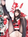 พุดดิ้ง Dafa Christmas Bunny