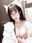 布丁大法-V芝士貓