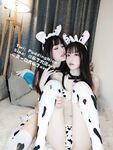 Puding Dafa Cow Lily