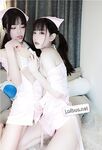 布丁大法护士百合