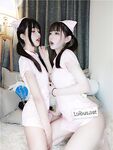 布丁大法护士百合