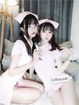 布丁大法护士百合