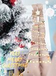 เมี่ยวเหมียวซอสคริสต์มาสพิเศษ2