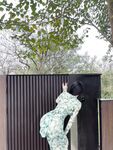 Zuo Gongzi 666-micro-circle series of pictures-Part 2