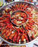 极品稀缺重磅，癖好特殊专攻TS大神【BJ大佬】私拍，记录各地9位顶级露脸TS美好性瞬间-小熊叮当