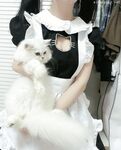 顶级萝莉【姜兔兔】极品馒头鲍各种体位啪啪口交巨乳长腿，骨感又丰满的身材，被各路金主干炮还拍视频，很会撒娇又很骚逼