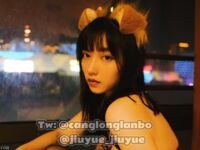 Pada penghujung tahun, tweet mengejutkan muncul di Twitter Dewi dengan wajah tinggi dan payudara besar kontras [Wine Moon], dilatih oleh pemilik untuk penggambaran peribadi.