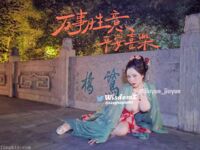 Pada penghujung tahun, tweet mengejutkan muncul di Twitter Dewi dengan wajah tinggi dan payudara besar kontras [Wine Moon], dilatih oleh pemilik untuk penggambaran peribadi.
