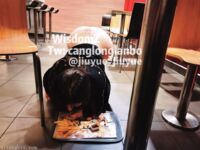 Pada penghujung tahun, tweet mengejutkan muncul di Twitter Dewi dengan wajah tinggi dan payudara besar kontras [Wine Moon], dilatih oleh pemilik untuk penggambaran peribadi.