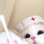 極品呆萌美少女【獃獃醬】超極品身材白虎嫩穴又粉又嫩又緊 誘人小白兔晃動惹人眼 做爸爸的小母狗