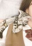 イケメンで純粋な2000年代以降の福祉ガール「バナナ・ブ・ナ・ナ」最新VIP購読顔出し福祉