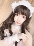 Xue Qing Astra - NO.24 Harvest Story Golden Bear