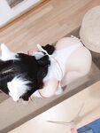 Yukiharu Astra - NO.09 Shrine Cat