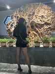 究極核彈②！窮人女神有錢人母狗，實力金主【大魔王FQ】以淫為樂，夜夜做新郎，玩肏各種長腿氣質外圍3P露出調教