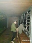 究極核彈②！窮人女神有錢人母狗，實力金主【大魔王FQ】以淫為樂，夜夜做新郎，玩肏各種長腿氣質外圍3P露出調教