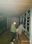 究極核彈②！窮人女神有錢人母狗，實力金主【大魔王FQ】以淫為樂，夜夜做新郎，玩肏各種長腿氣質外圍3P露出調教