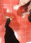 【安女王】 恋足控射龟头责寸止榨精2000元视频