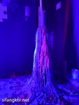 超强视觉盛宴！推特顶级大佬【小黑屋】订阅新年福利特辑，花式调教御姐萝莉女奴们，玩女最高境界