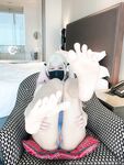 히나타2000DVA