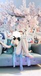 Quang cảnh nô lệ gấu trúc (bướm)