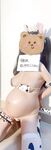 Quang cảnh nô lệ gấu trúc (bướm)