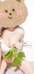 Quang cảnh nô lệ gấu trúc (bướm)