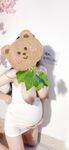 Quang cảnh nô lệ gấu trúc (bướm)