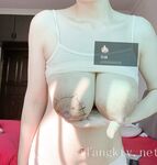 Quang cảnh nô lệ gấu trúc (bướm)