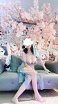 Quang cảnh nô lệ gấu trúc (bướm)