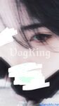 Twitter [DOGKING] เทพผู้ยิ่งใหญ่นัดหมายให้เย็ดสาว ๆ ที่เกิดมาในยุค 2000