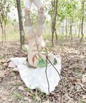 Tôi yêu chú cún con nữ sinh [Nước sốt thỏ dễ thương mềm mại] COS Grass God Nasita, thanh pha lê đùa giỡn với hậu môn mỏng manh và âm hộ nhỏ, âm đạo mềm mại và dịu dàng là một con hổ trắng B