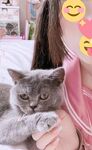 TwitterLolita [Cô bé không cao] Những bức ảnh riêng tư dễ thương, với làn da trắng mịn, bộ ngực lớn và bên ngoài âm hộ màu hồng, cô ấy là một cô gái ngoan trong mắt giáo viên và các bạn cùng lớp, nhưng ở nhà cô ấy lại là một con điếm nhỏ