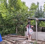 TwitterLolita [Cô bé không cao] Những bức ảnh riêng tư dễ thương, với làn da trắng mịn, bộ ngực lớn và bên ngoài âm hộ màu hồng, cô ấy là một cô gái ngoan trong mắt giáo viên và các bạn cùng lớp, nhưng ở nhà cô ấy lại là một con điếm nhỏ