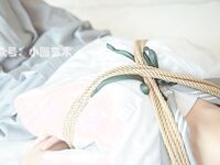 DOM窒息 作品合集