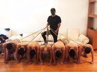 DOM窒息 作品合集
