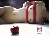 DOM窒息 作品合集