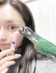 日本最优秀成人性爱女郎「Liris Amano」「RirisuAmano」特辑全资源