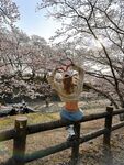 日本最优秀成人性爱女郎「Liris Amano」「RirisuAmano」特辑全资源
