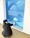 日本最优秀成人性爱女郎「Liris Amano」「RirisuAmano」特辑全资源